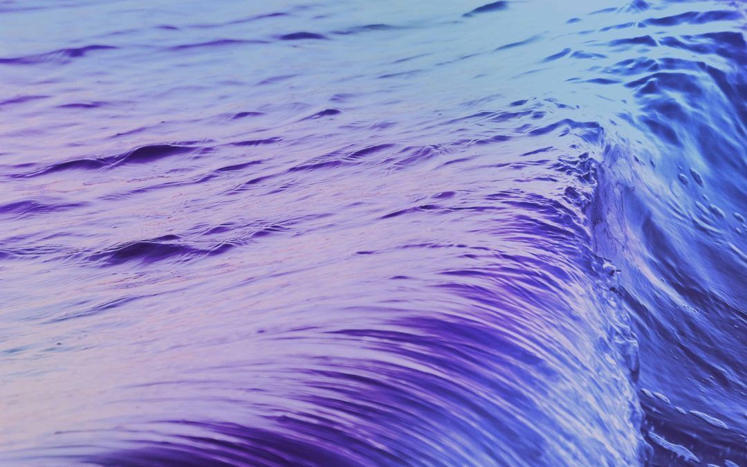 Constitución de Pegaxius S.L. en el Registro Mercantil de Madrid